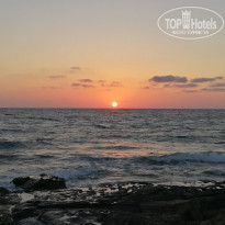 фото из отзыва ID 1623844