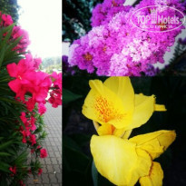 фото из отзыва ID 1623928