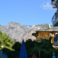 фото из отзыва ID 1624117