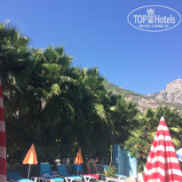 фото из отзыва ID 1624117