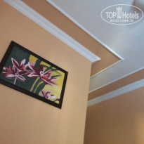 фото из отзыва ID 1624117