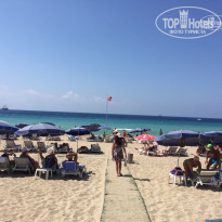 фото из отзыва ID 1624302