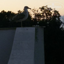 фото из отзыва ID 1624320