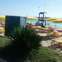 фото из отзыва ID 1624320