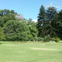 фото из отзыва ID 1624320