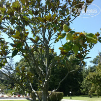 фото из отзыва ID 1624320