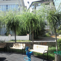 фото из отзыва ID 1624375