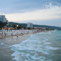 фото из отзыва ID 1624381