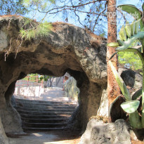 фото из отзыва ID 1624640