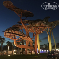 фото из отзыва ID 1624705