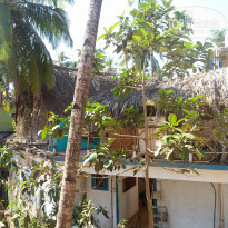 фото из отзыва ID 1624724