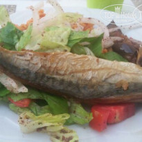 фото из отзыва ID 1624766