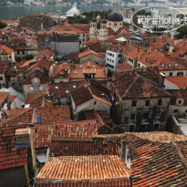 фото из отзыва ID 1624792