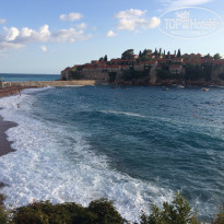 фото из отзыва ID 1624792