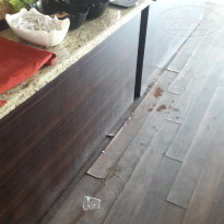 фото из отзыва ID 1625034