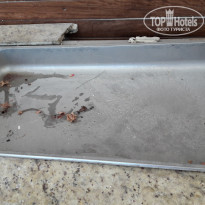 фото из отзыва ID 1625034