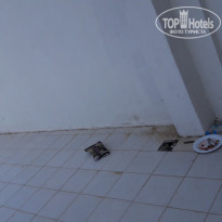 фото из отзыва ID 1625034