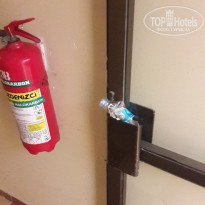 фото из отзыва ID 1625034