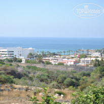 фото из отзыва ID 1625005