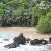 фото из отзыва ID 1625131