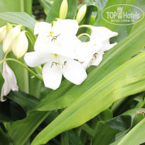 фото из отзыва ID 1625131