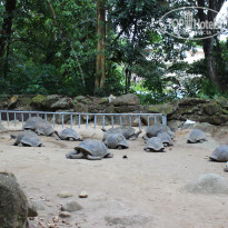 фото из отзыва ID 1625131