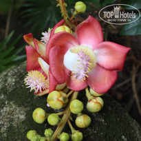 фото из отзыва ID 1625131