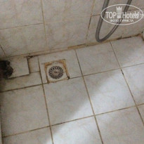 фото из отзыва ID 1625305