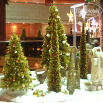 фото из отзыва ID 1625426