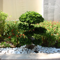 фото из отзыва ID 1625435