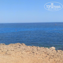 фото из отзыва ID 1625571