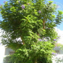 фото из отзыва ID 1625496