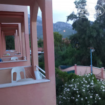 фото из отзыва ID 1625806