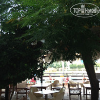 фото из отзыва ID 1625862