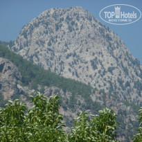 фото из отзыва ID 1625435