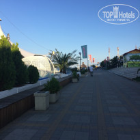 фото из отзыва ID 1625939