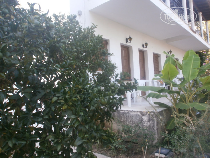 New photos from tourists Villa Alexandra