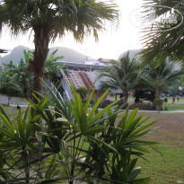 фото из отзыва ID 1626174