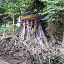 фото из отзыва ID 1626174