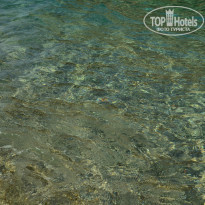 фото из отзыва ID 1626302