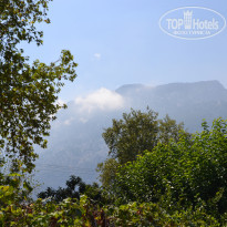 фото из отзыва ID 1626302