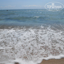 фото из отзыва ID 1626325