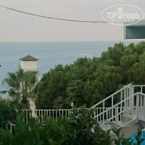 фото из отзыва ID 1622010