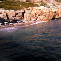 фото из отзыва ID 1622010