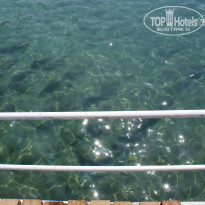 фото из отзыва ID 1622010