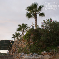 фото из отзыва ID 1622010