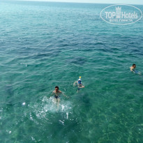 фото из отзыва ID 1622010