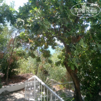 фото из отзыва ID 1622010