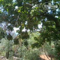 фото из отзыва ID 1622010