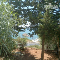 фото из отзыва ID 1622010